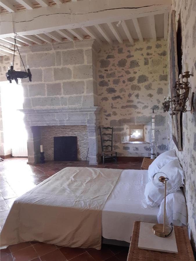 Chateau De Cauderoue Nérac Zewnętrze zdjęcie