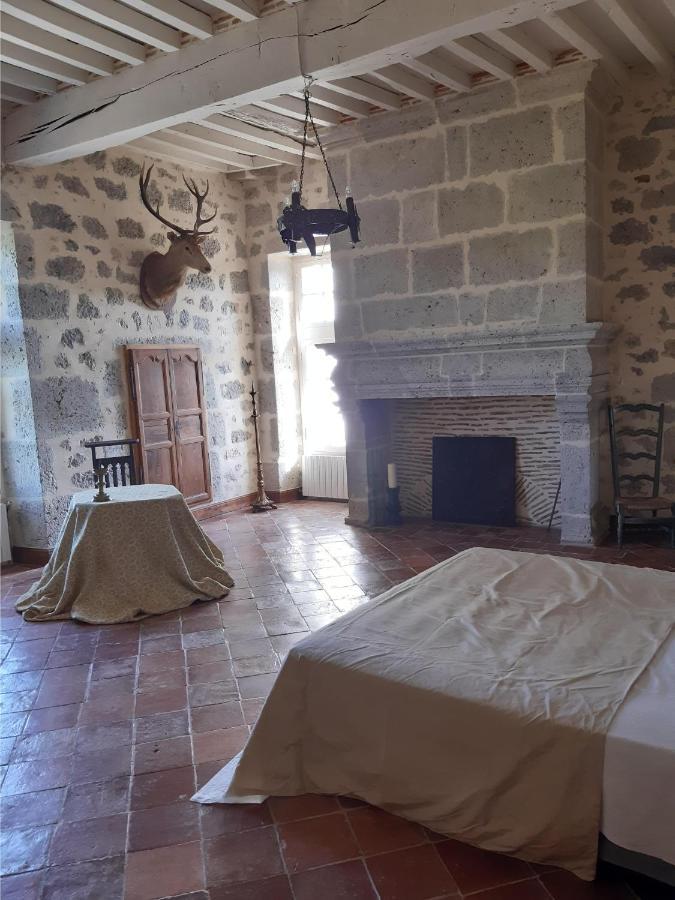 Chateau De Cauderoue Nérac Zewnętrze zdjęcie