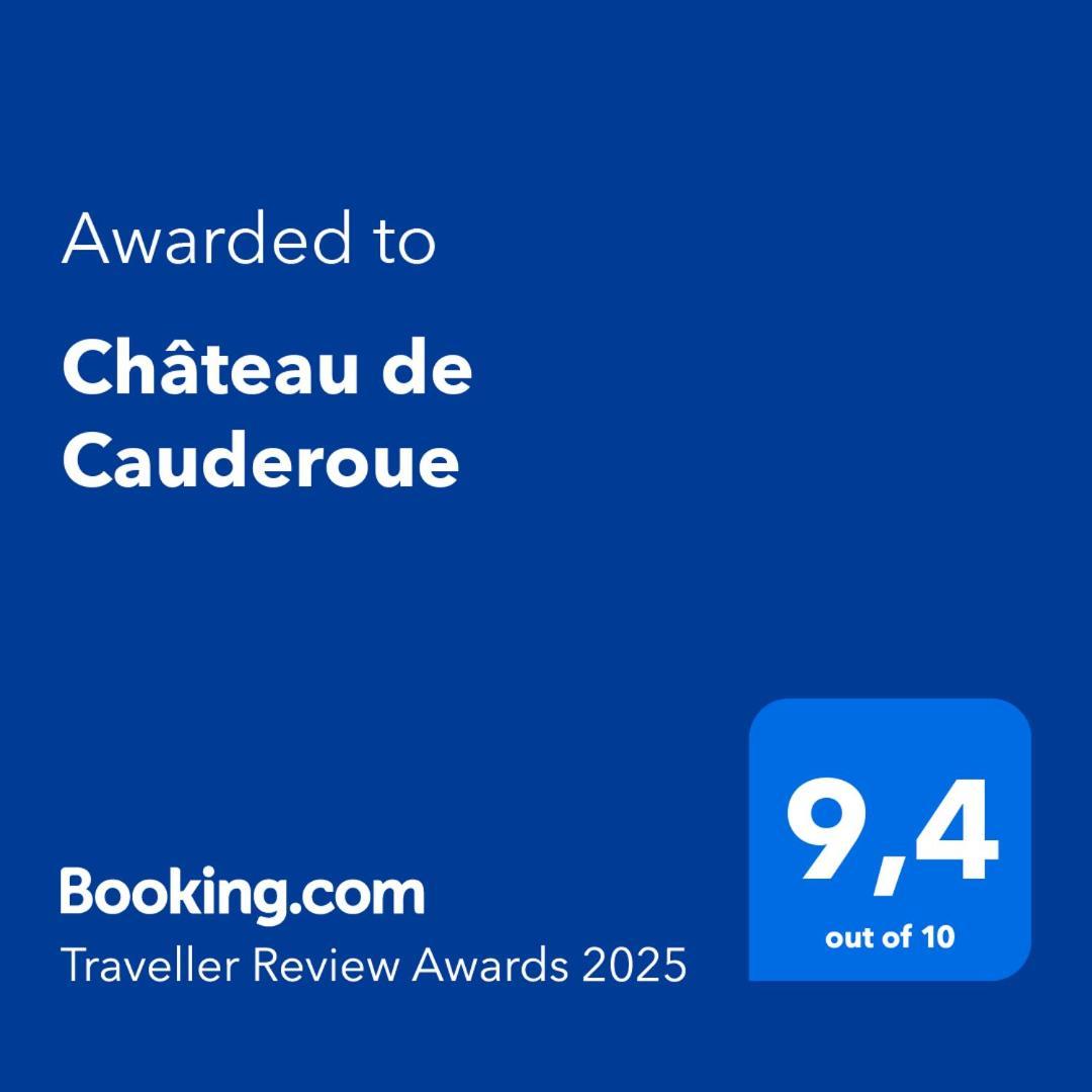 Chateau De Cauderoue Nérac Zewnętrze zdjęcie